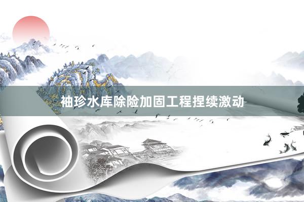 袖珍水库除险加固工程捏续激动