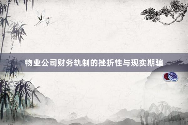 物业公司财务轨制的挫折性与现实期骗