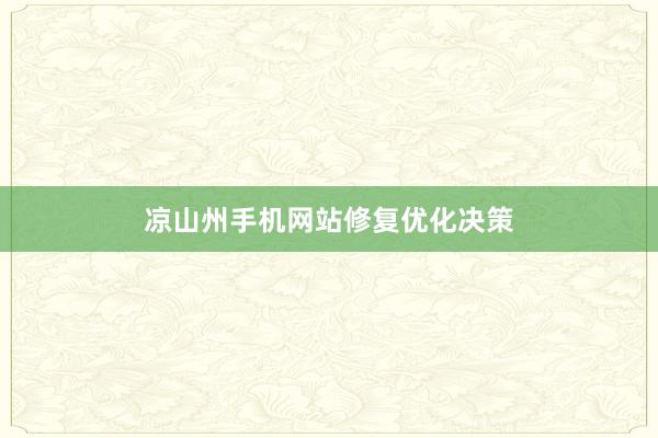 凉山州手机网站修复优化决策