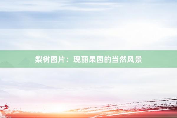 梨树图片：瑰丽果园的当然风景