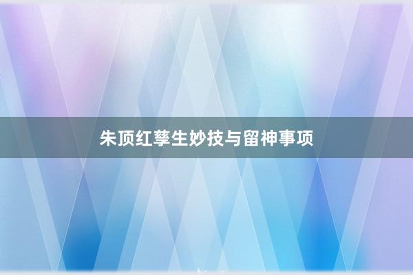 朱顶红孳生妙技与留神事项