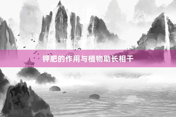 钾肥的作用与植物助长相干
